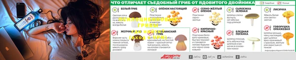 МДМА Вязьма