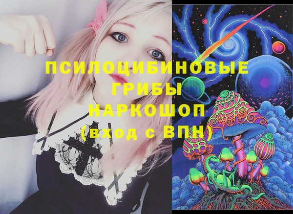 метадон Вяземский