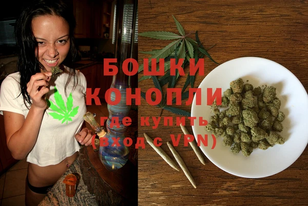 метадон Вяземский