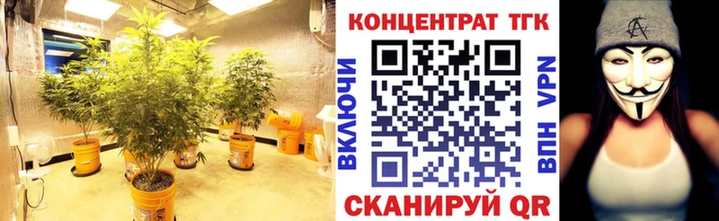 Дистиллят ТГК вейп с тгк  Купить где  Пойковский 
