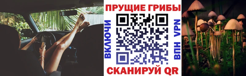 Псилоцибиновые грибы прущие грибы  Купить  Пойковский 
